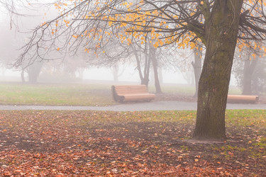 Similar image 22070682