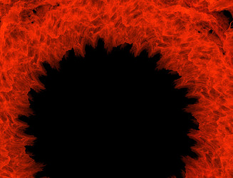 Similar image 22071024