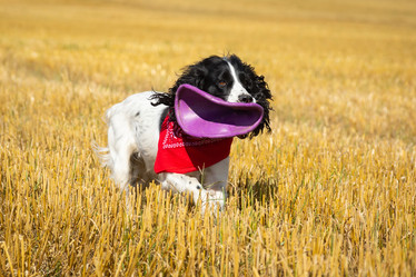 Similar image 22071047