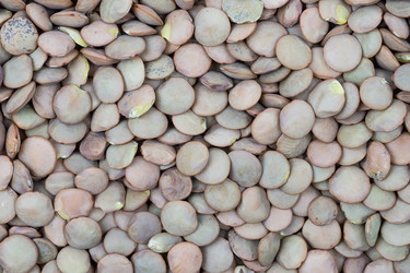 Similar image 22071050