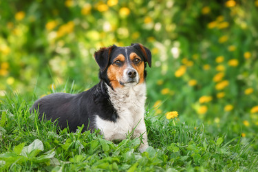 Similar image 22071062