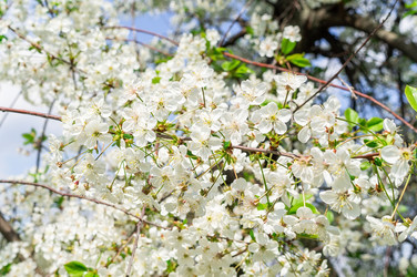 Similar image 22071199