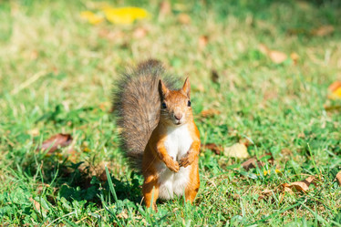 Similar image 22071206