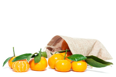 Similar image 22071211