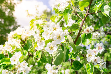 Similar image 22071212