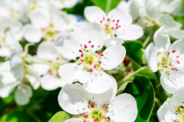 Similar image 22071214