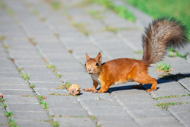 Similar image 22071419