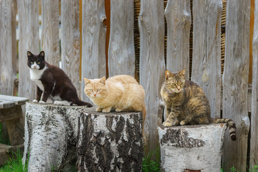 Similar image 22071424