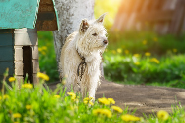 Similar image 22071432