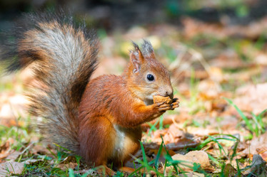 Similar image 22071435