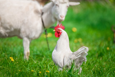 Similar image 22071438