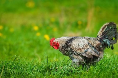 Similar image 22071440