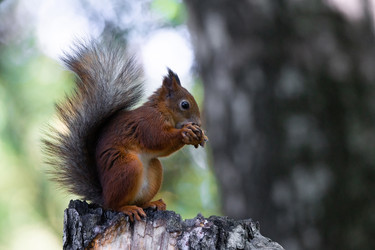 Similar image 22071451