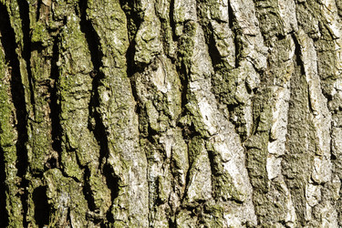 Similar image 22071503