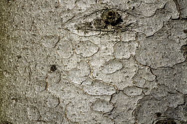 Similar image 22071504