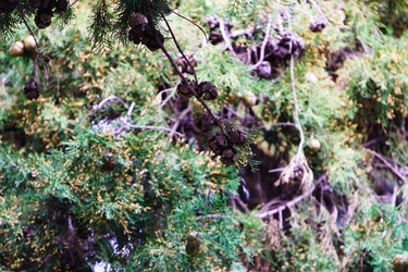 Similar image 22075579