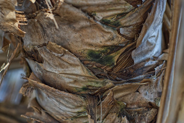 Similar image 22070346