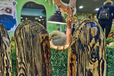 Similar image 22070347