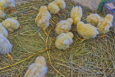 Similar image 22070348