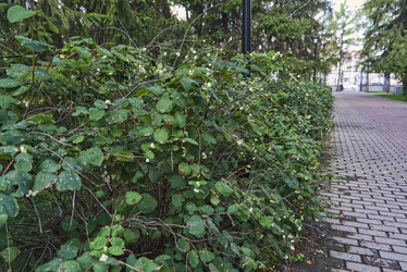 Similar image 22070350