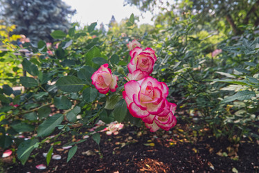 Similar image 22070352