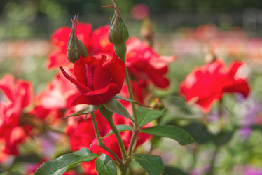 Similar image 22070353