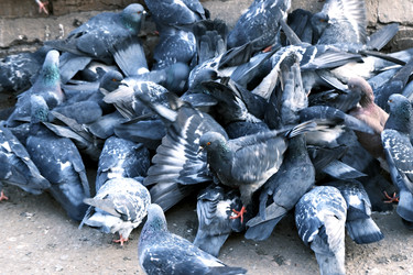 Similar image 22070452