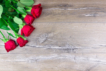 Similar image 22071506