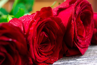 Similar image 22071512