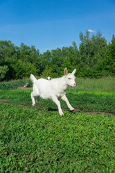 Similar image 22071532