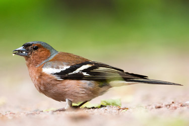 Similar image 22071535