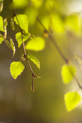 Similar image 22080495