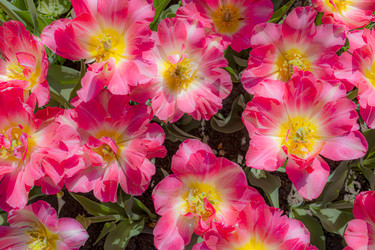 Similar image 22080496