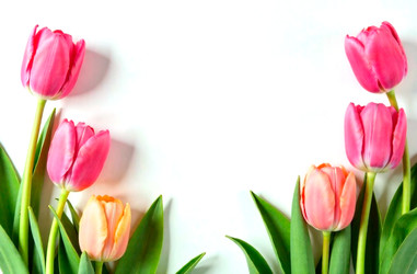 Similar image 22080500