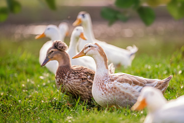 Similar image 22080928