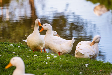 Similar image 22080929