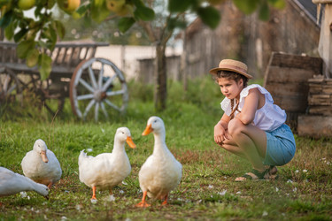 Similar image 22080930