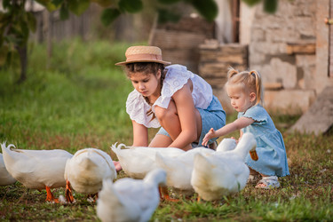 Similar image 22080931