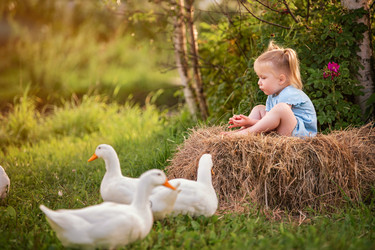 Similar image 22080932