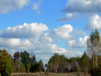 Similar image 22070467