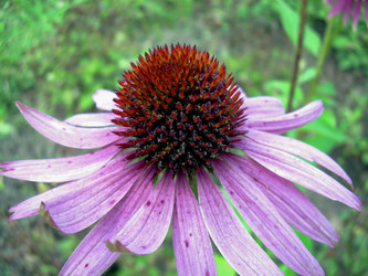 Similar image 22070469