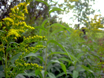 Similar image 22070473