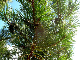 Similar image 22070474