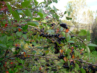 Similar image 22070475