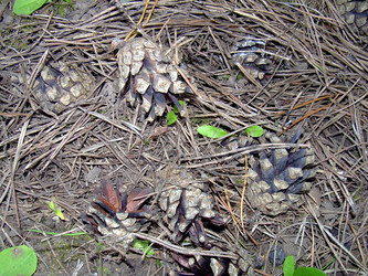 Similar image 22070476