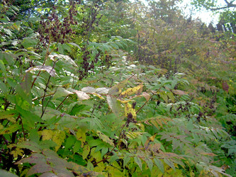 Similar image 22070477