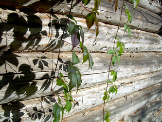 Similar image 22070478