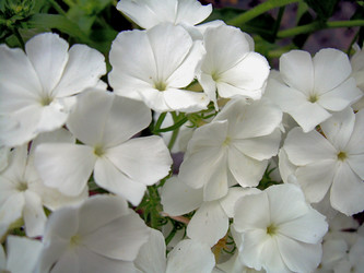 Similar image 22070479