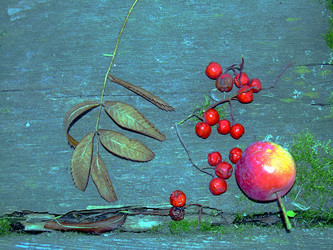 Similar image 22070480