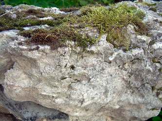 Similar image 22070481